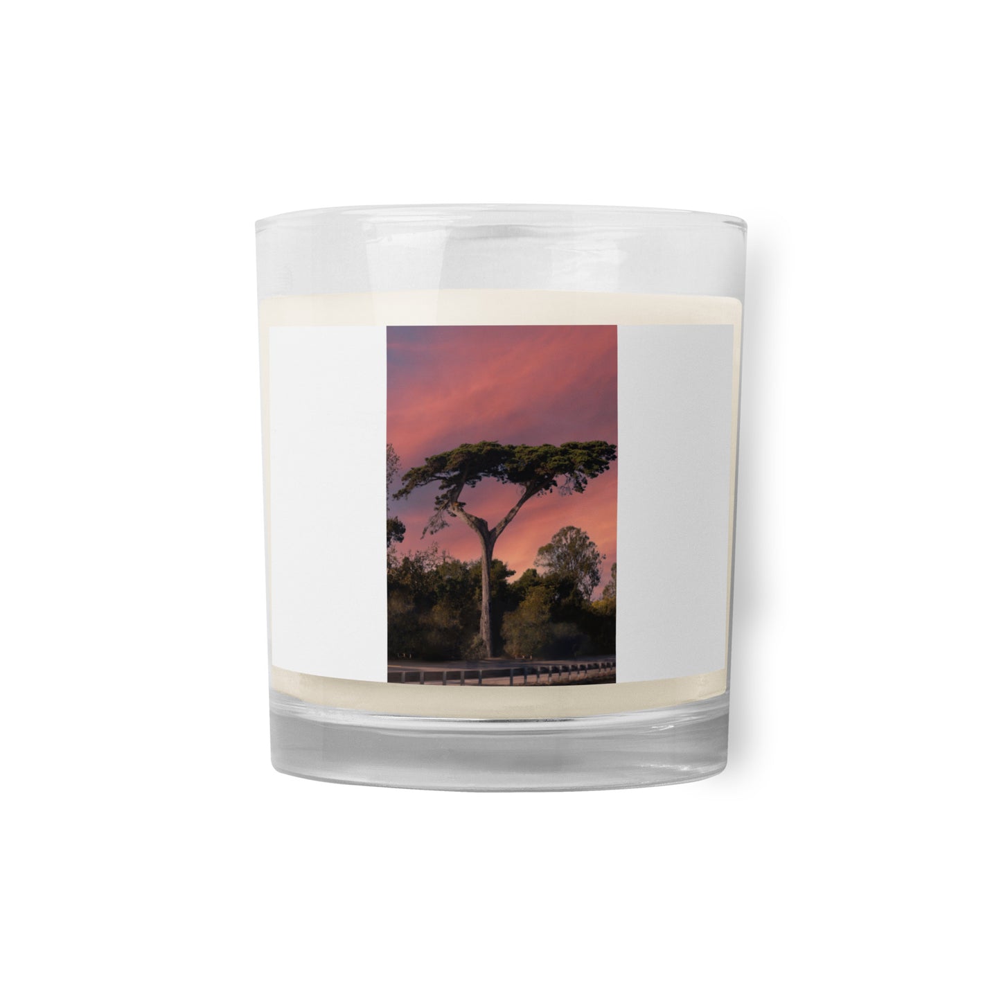 The Forgotten Montecito Tree Glass jar soy wax candle