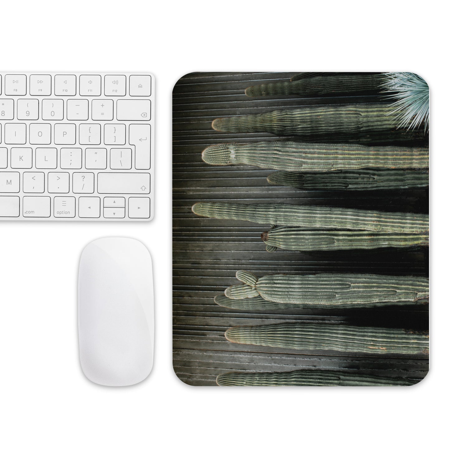 Scottsdale Cactus Mouse pad