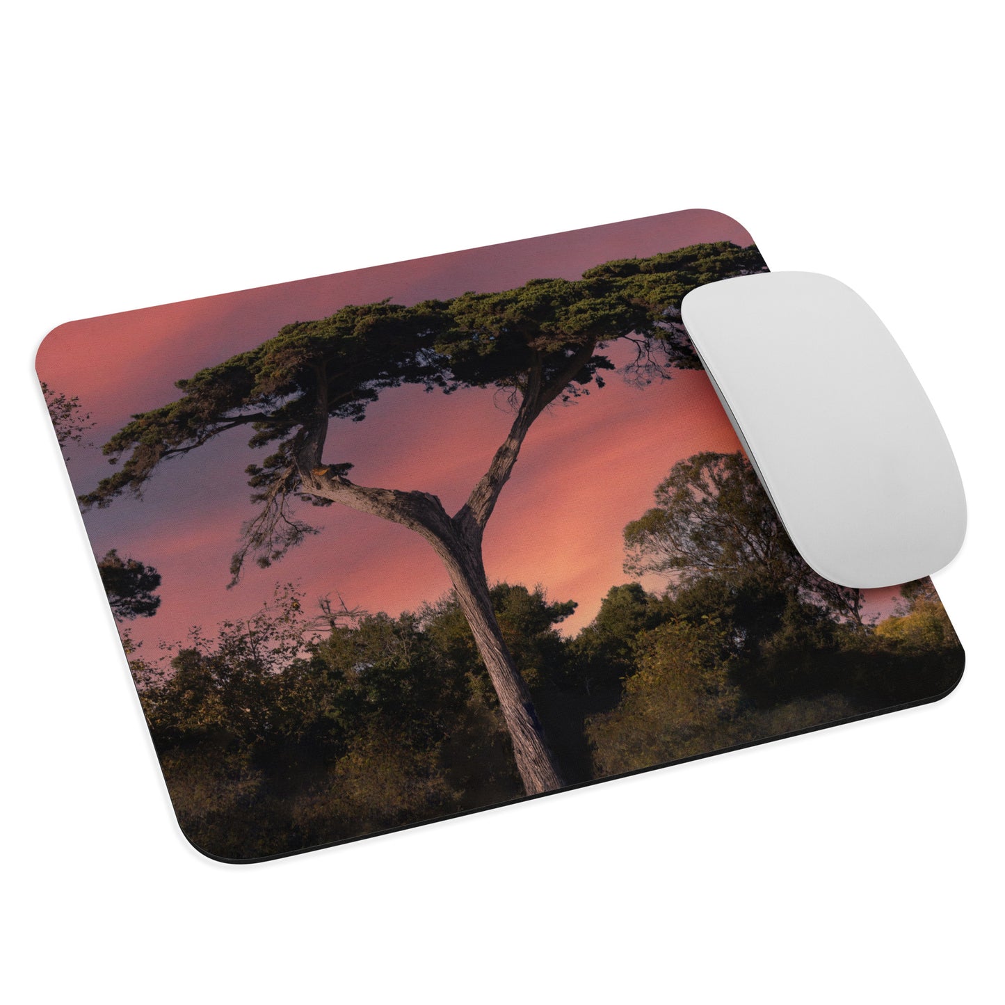 Monteito Cypress Tree Mouse pad